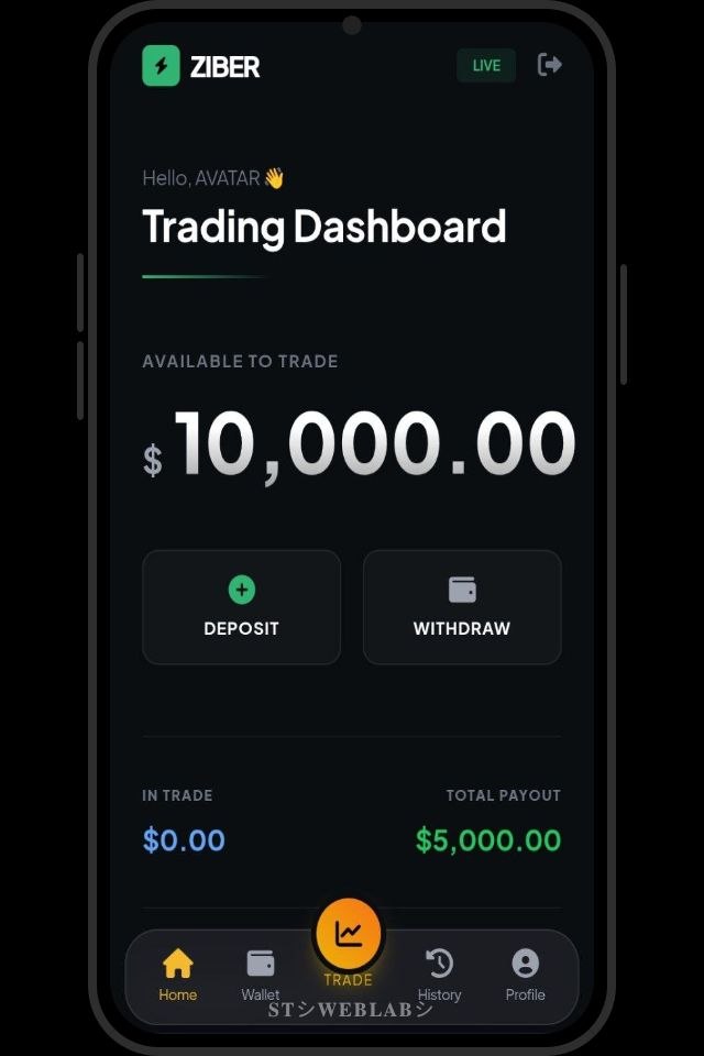 Ziber Trading Screen